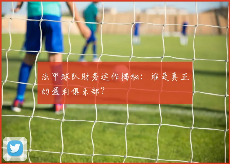 法甲球队财务运作揭秘：谁是真正的盈利俱乐部？