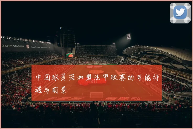 中国球员若加盟法甲联赛的可能待遇与前景