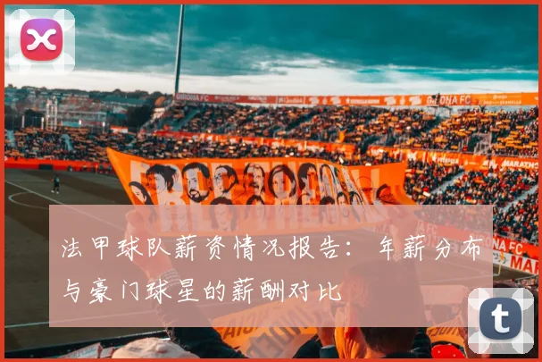 法甲球队薪资情况报告：年薪分布与豪门球星的薪酬对比
