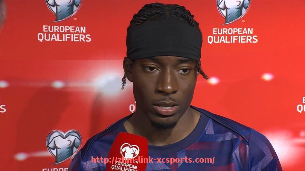 杏彩体育-意甲与德甲球队综合实力对比分析