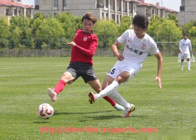 杏彩体育-德甲总共有多少名球员及各队员名单统计