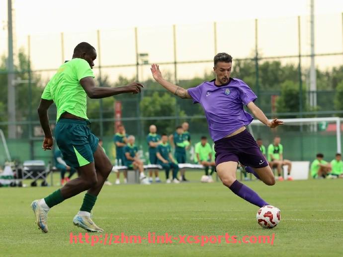 杏彩体育-法甲战术创新案例研究：进攻提速、防线压迫与边路转换演变